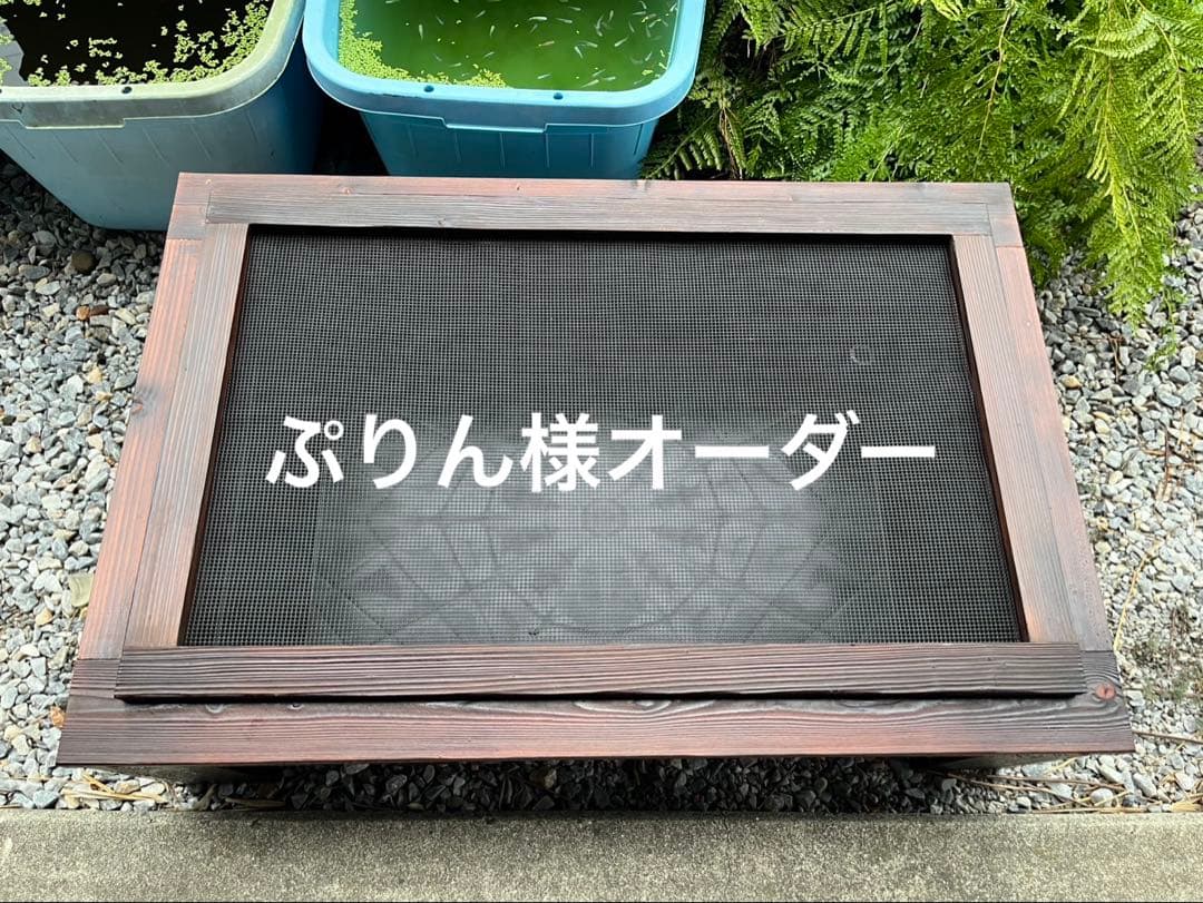ぷりん